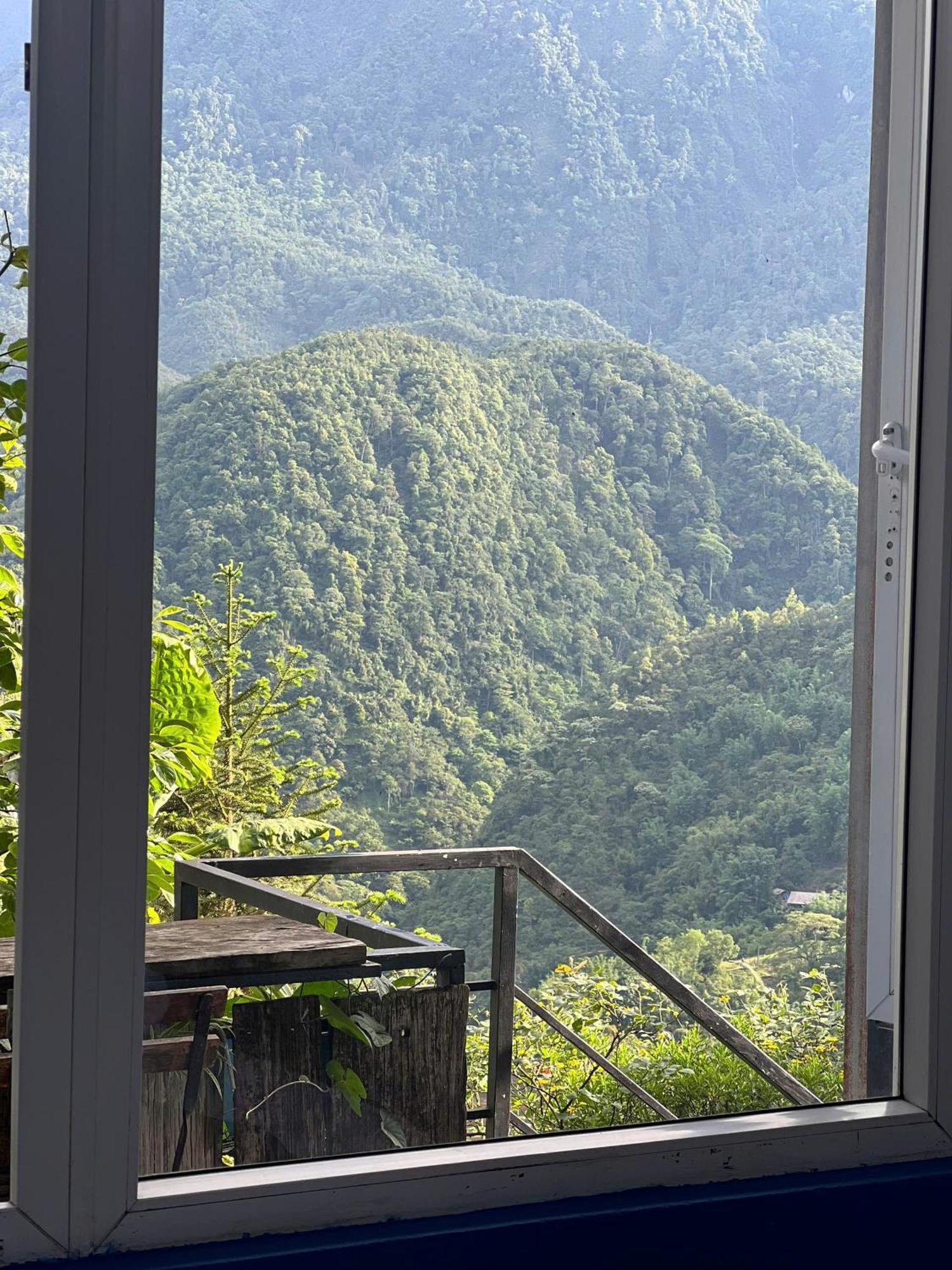 Catcat Garden House Lägenhet Sapa Exteriör bild